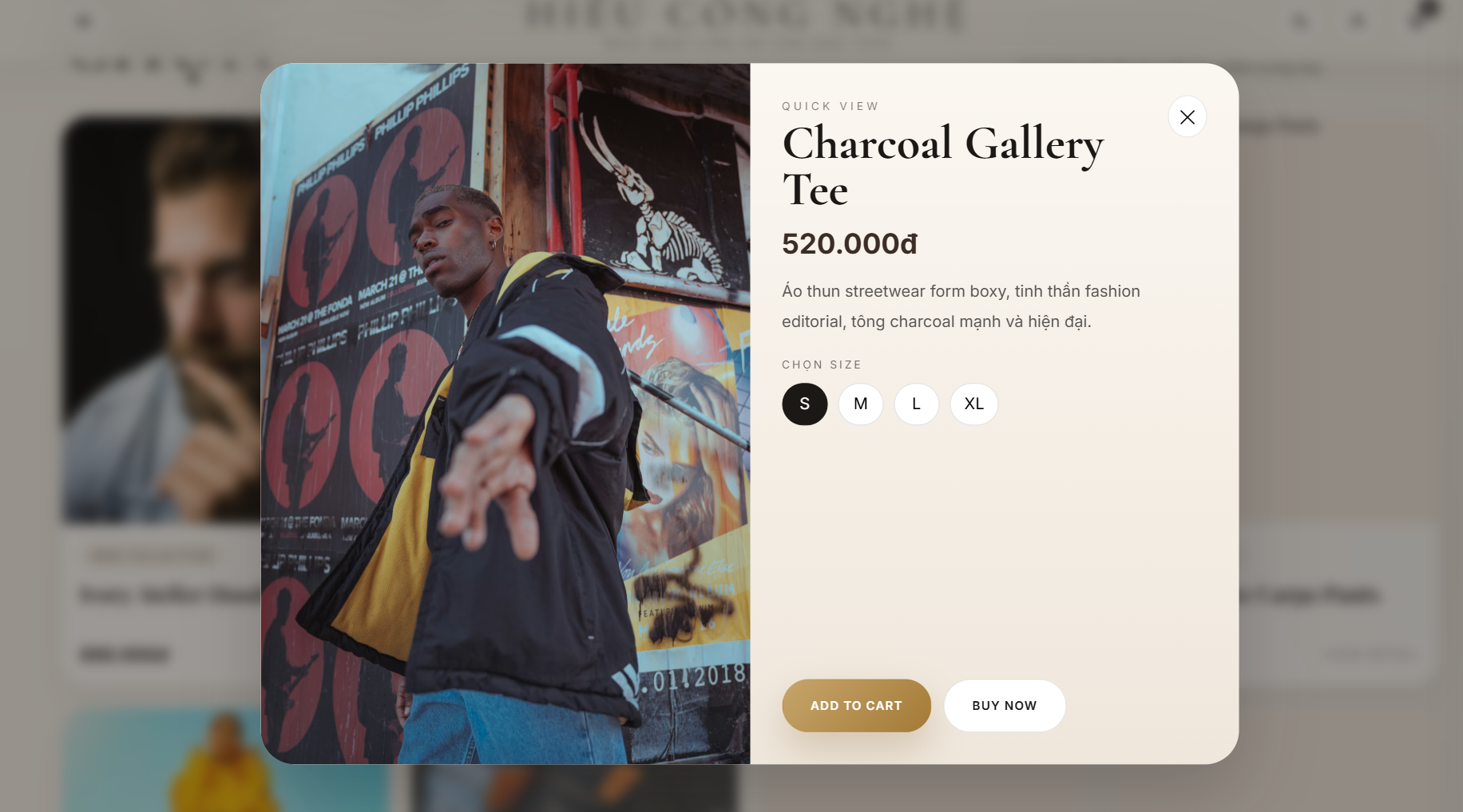 Website Thời Trang V4