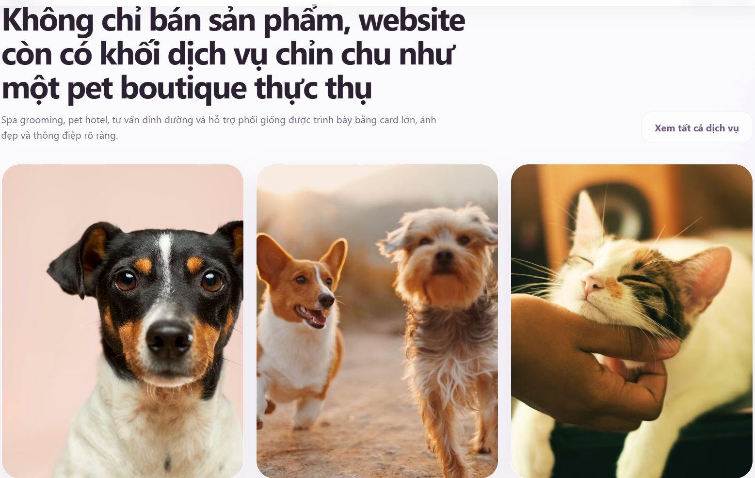 Website thú cưng cao cấp V3